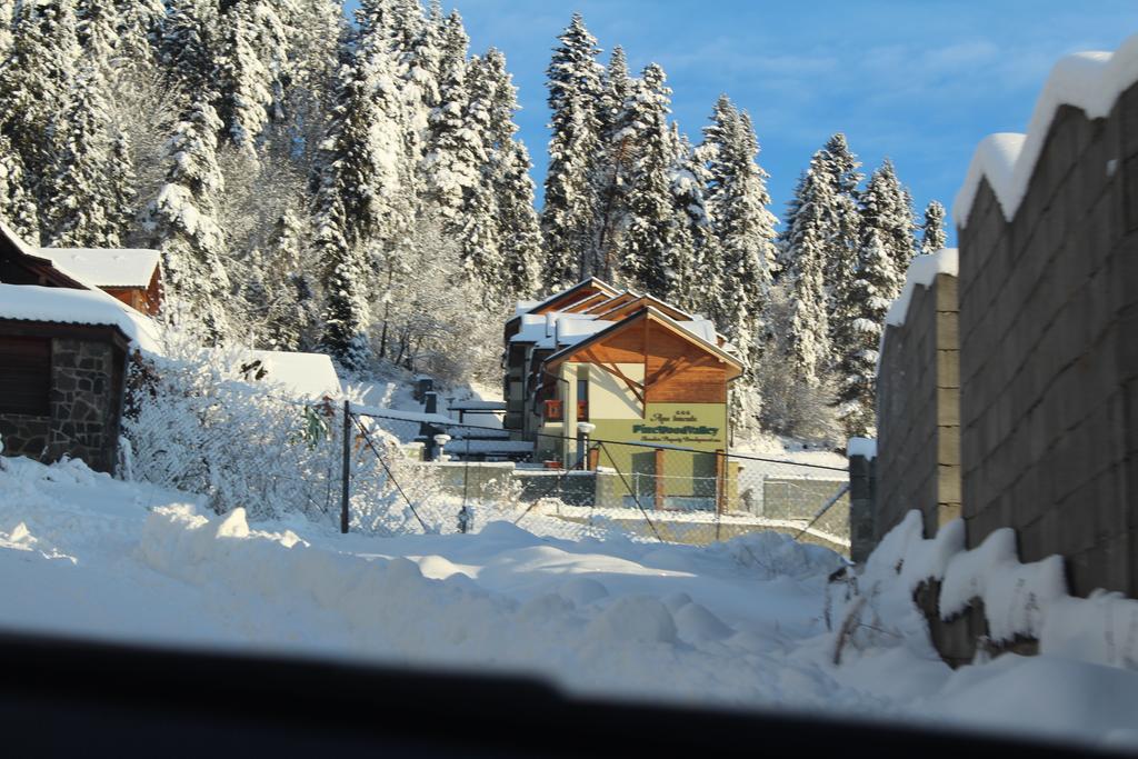 Pine Wood Apartment Vyšné Ružbachy Buitenkant foto